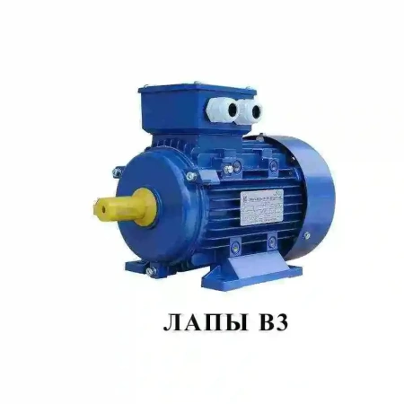 Электродвигатель АИР 250 S8 (37 кВт 750 об/мин)